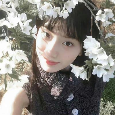 良陈美锦